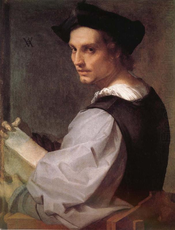 Andrea del Sarto Portrait of man china oil painting image